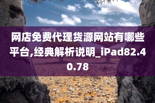 网店免费代理货源网站有哪些平台,经典解析说明_iPad82.40.78