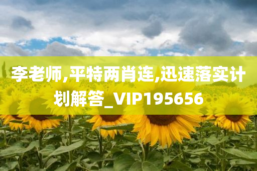 李老师,平特两肖连,迅速落实计划解答_VIP195656