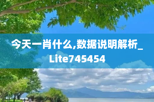 今天一肖什么,数据说明解析_Lite745454