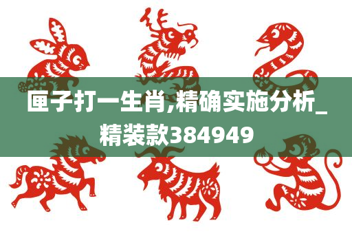 匣子打一生肖,精确实施分析_精装款384949