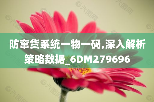 防窜货系统一物一码,深入解析策略数据_6DM279696