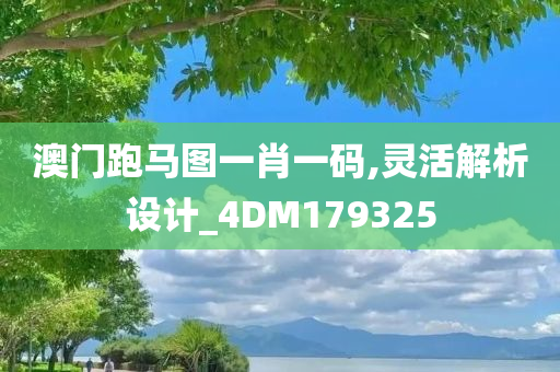 澳门跑马图一肖一码,灵活解析设计_4DM179325