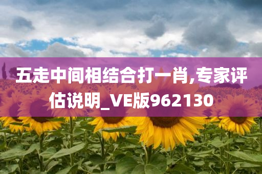 五走中间相结合打一肖,专家评估说明_VE版962130