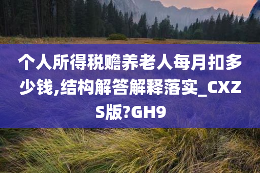 个人所得税赡养老人每月扣多少钱,结构解答解释落实_CXZS版?GH9