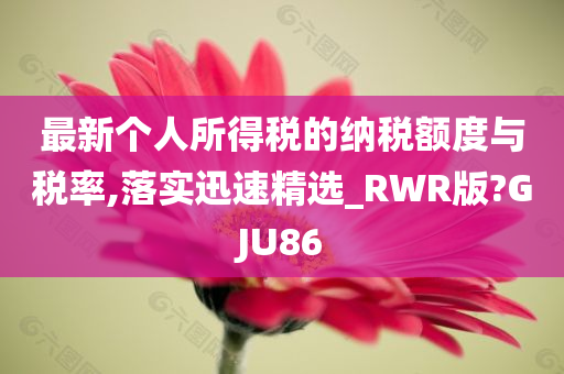 最新个人所得税的纳税额度与税率,落实迅速精选_RWR版?GJU86