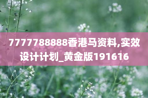 7777788888香港马资料,实效设计计划_黄金版191616