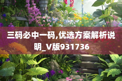 三码必中一码,优选方案解析说明_V版931736