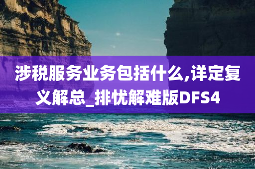 涉税服务业务包括什么,详定复义解总_排忧解难版DFS4