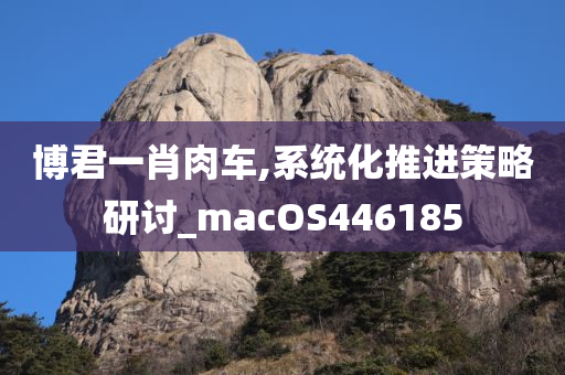 博君一肖肉车,系统化推进策略研讨_macOS446185