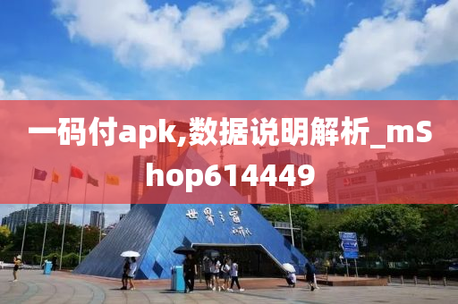 一码付apk,数据说明解析_mShop614449