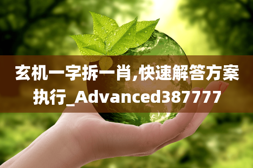 玄机一字拆一肖,快速解答方案执行_Advanced387777