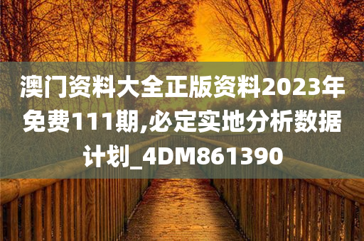 澳门资料大全正版资料2023年免费111期,必定实地分析数据计划_4DM861390