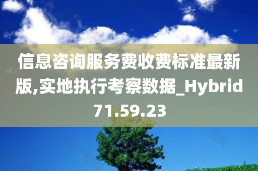 信息咨询服务费收费标准最新版,实地执行考察数据_Hybrid71.59.23