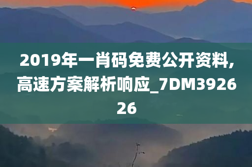 2019年一肖码免费公开资料,高速方案解析响应_7DM392626