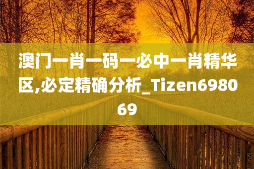 澳门一肖一码一必中一肖精华区,必定精确分析_Tizen698069