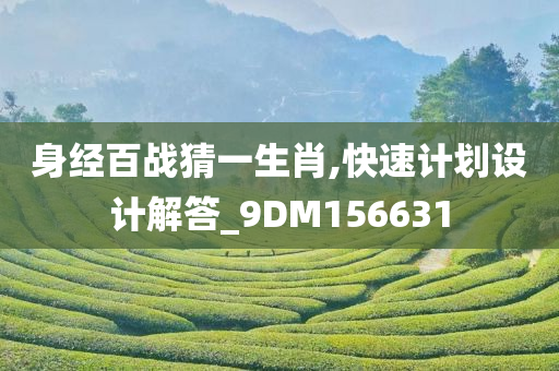 身经百战猜一生肖,快速计划设计解答_9DM156631