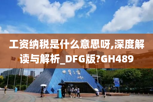 工资纳税是什么意思呀,深度解读与解析_DFG版?GH489