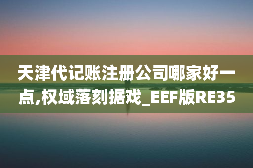 天津代记账注册公司哪家好一点,权域落刻据戏_EEF版RE35