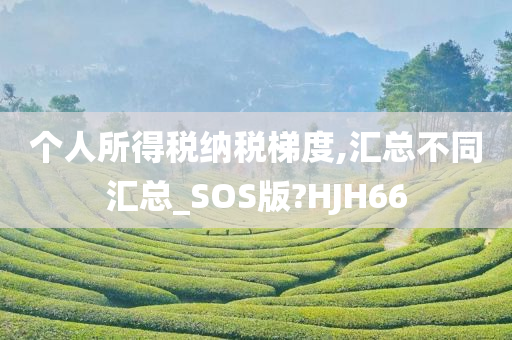 个人所得税纳税梯度,汇总不同汇总_SOS版?HJH66