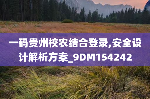 一码贵州校农结合登录,安全设计解析方案_9DM154242