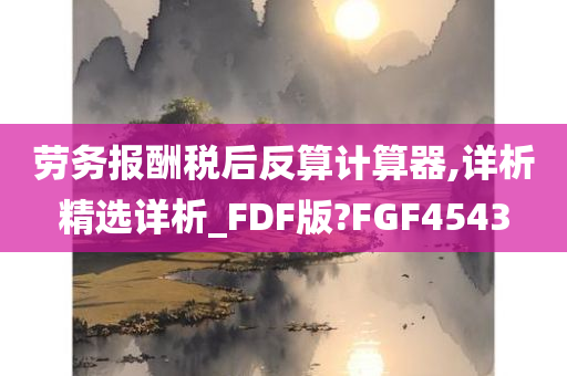 劳务报酬税后反算计算器,详析精选详析_FDF版?FGF4543