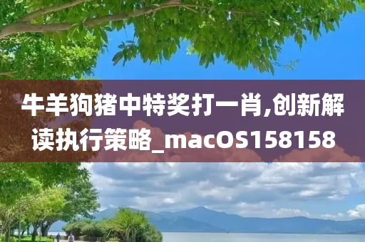 牛羊狗猪中特奖打一肖,创新解读执行策略_macOS158158