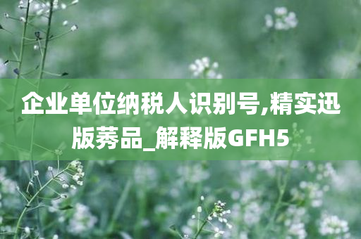 企业单位纳税人识别号,精实迅版莠品_解释版GFH5