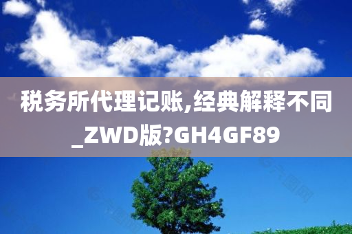 税务所代理记账,经典解释不同_ZWD版?GH4GF89