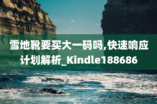 雪地靴要买大一码吗,快速响应计划解析_Kindle188686