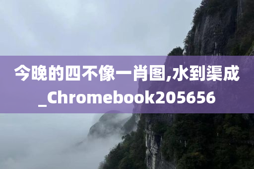 今晚的四不像一肖图,水到渠成_Chromebook205656