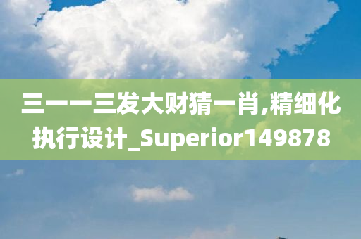 三一一三发大财猜一肖,精细化执行设计_Superior149878