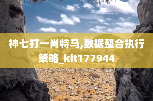 神七打一肖特马,数据整合执行策略_kit177944