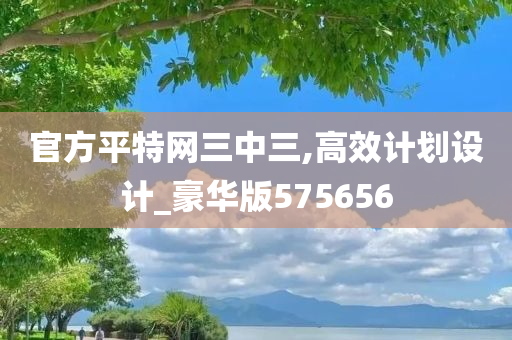 官方平特网三中三,高效计划设计_豪华版575656