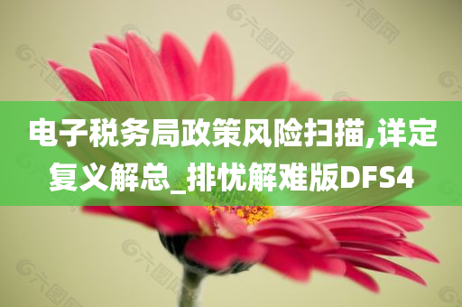 电子税务局政策风险扫描,详定复义解总_排忧解难版DFS4