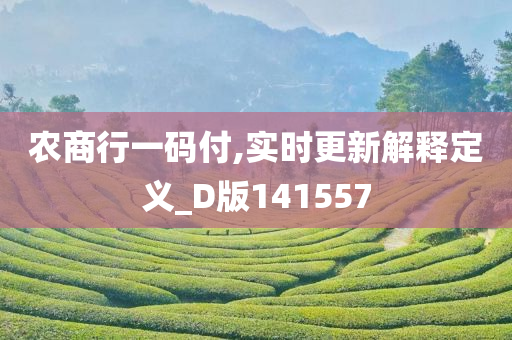 农商行一码付,实时更新解释定义_D版141557