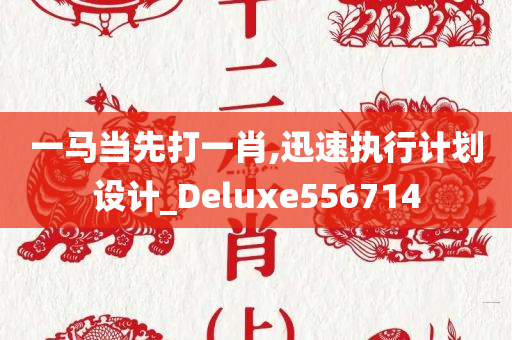 一马当先打一肖,迅速执行计划设计_Deluxe556714