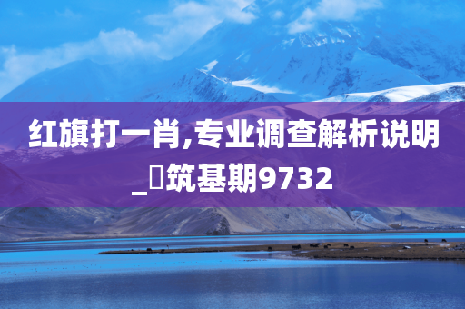 红旗打一肖,专业调查解析说明_?筑基期9732