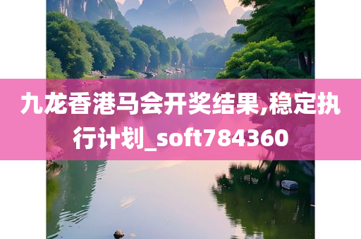 九龙香港马会开奖结果,稳定执行计划_soft784360