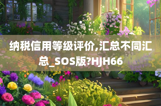 纳税信用等级评价,汇总不同汇总_SOS版?HJH66