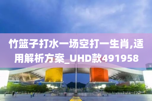 竹篮子打水一场空打一生肖,适用解析方案_UHD款491958