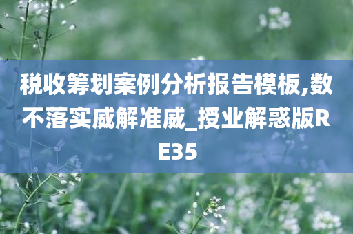 税收筹划案例分析报告模板,数不落实威解准威_授业解惑版RE35