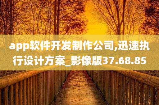 app软件开发制作公司,迅速执行设计方案_影像版37.68.85