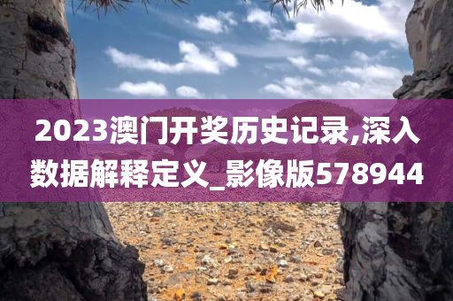 2023澳门开奖历史记录,深入数据解释定义_影像版578944