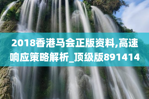 2018香港马会正版资料,高速响应策略解析_顶级版891414