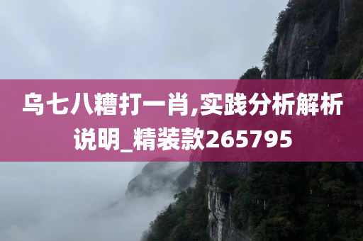 乌七八糟打一肖,实践分析解析说明_精装款265795