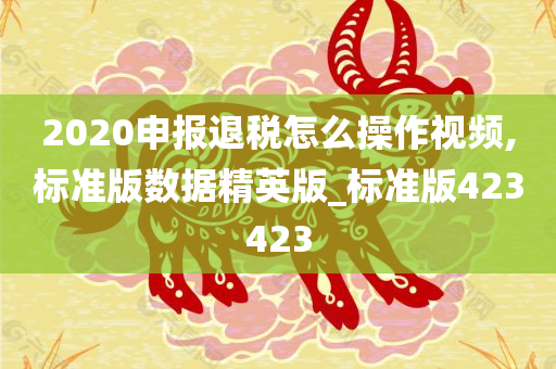 2020申报退税怎么操作视频,标准版数据精英版_标准版423423