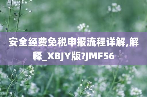 安全经费免税申报流程详解,解释_XBJY版?JMF56