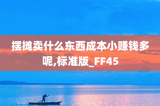 摆摊卖什么东西成本小赚钱多呢,标准版_FF45