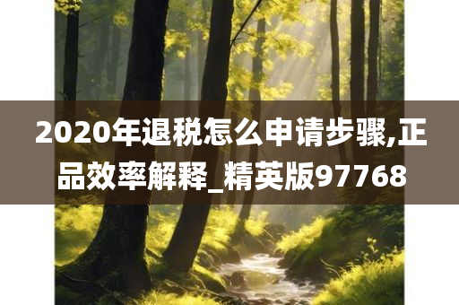 2020年退税怎么申请步骤,正品效率解释_精英版97768