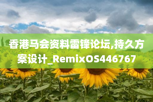 香港马会资料雷锋论坛,持久方案设计_RemixOS446767